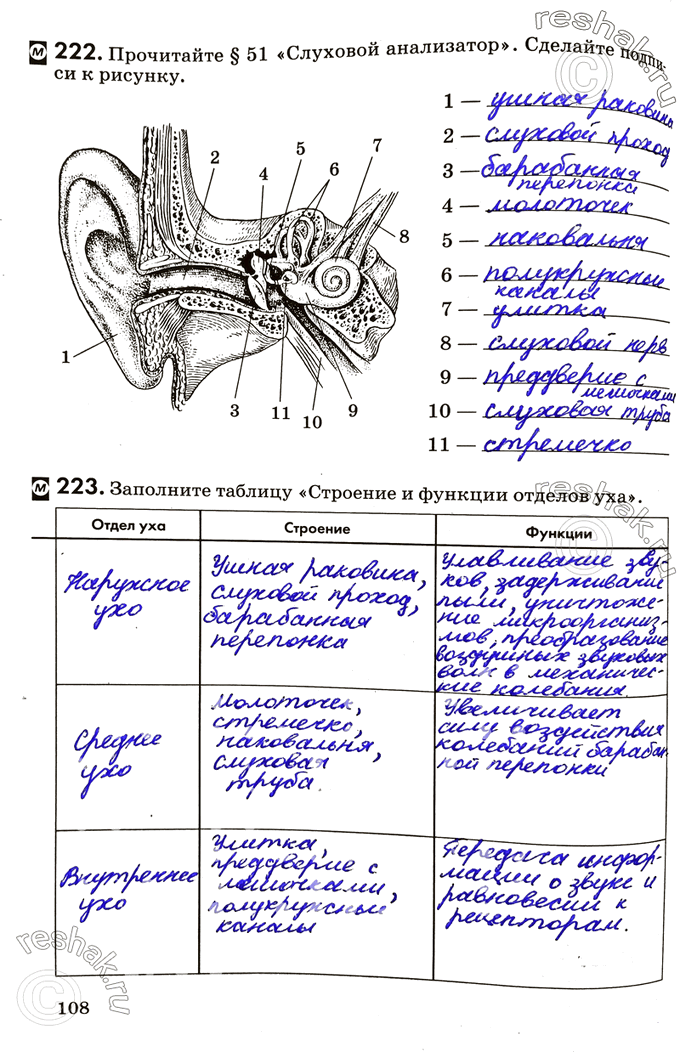 Изображение 222. Прочитайте §51 «Слуховой анализатор». Сделайте подписи к рисунку.223. Заполните таблицу «Строение и функции отделов уха».Отдел...
