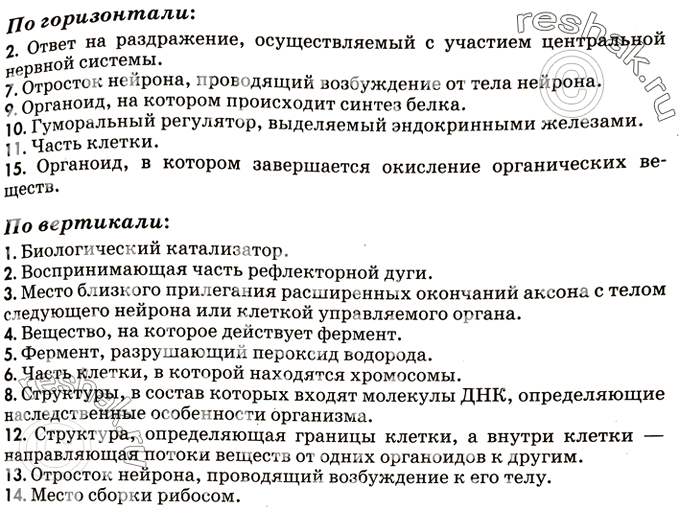 Изображение По горизонтали:2. Ответ на раздражение, осуществляемый с участием центральной нервной системы.7. Отросток нейрона, проводящий возбуждение от тела нейрона.9....