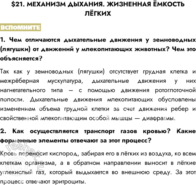 Изображение $21. МЕХАНИЗМ ДЫХАНИЯ. ЖИЗНЕННАЯ ЁМКОСТЬ ЛЁГКИХВСПОМНИТЕ1. Чем отличаются дыхательные движения у земноводных (лягушки) от движений у млекопитающих животных? Чем...