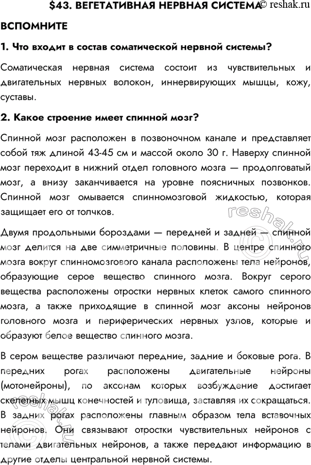 Изображение $43. ВЕГЕТАТИВНАЯ НЕРВНАЯ СИСТЕМАВСПОМНИТЕ1. Что входит в состав соматической нервной системы?Соматическая нервная система состоит из чувствительных и двигательных...