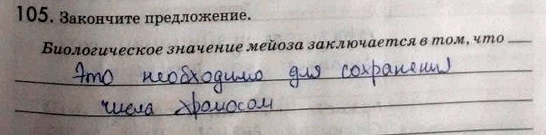 Изображение 1 05. Закончите предложение. Биологическое значение мейоза заключается в том,...