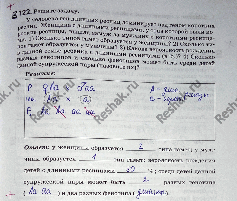 Изображение 1 22. Решите задачу. У человека ген длинных ресниц доминирует над геном коротких ресниц. Женщина с длинными ресницами, у отца которой были короткие ресницы, вышла...