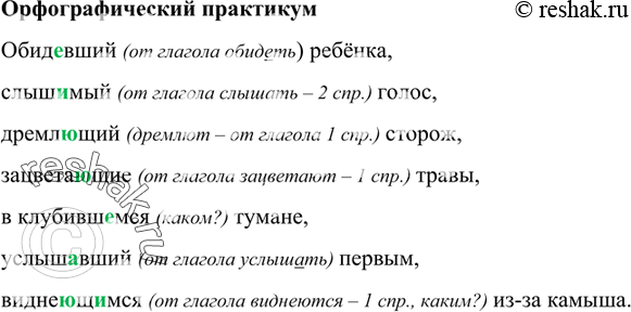 Изображение Обидевший (от глагола обидеть) ребёнка,слышимый (от глагола слышать – 2 спр.) голос,дремлющий (дремлют – от глагола 1 спр.) сторож,зацветающие (от глагола...